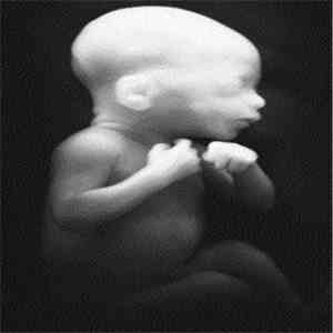 S.H.I.T. - Demo 2012 mp3 album