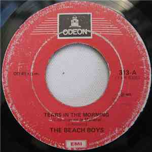 The Beach Boys - Tears In The Morning mp3 album