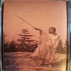 Unknown Mortal Orchestra - II mp3 album