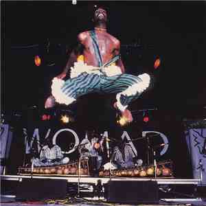 Various - Worldwide: Ten Years Of WOMAD - CD mp3 album