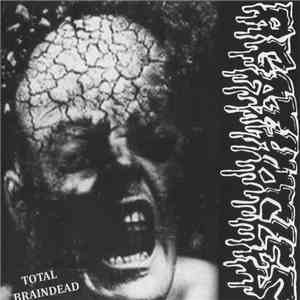 Agathocles / Disorder  - Total Braindead / Massacre Of Fish mp3 album