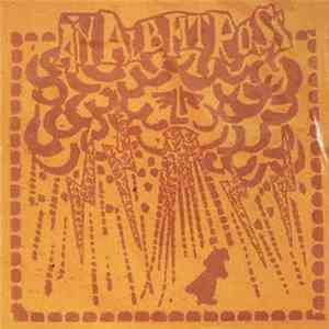 An Albatross - Eat Lightning, Shit Thunder! mp3 album
