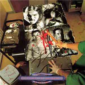 Carcass - Necroticism - Descanting The Insalubrious mp3 album
