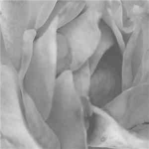 Cio D'or - Yocta To Yotta Ep mp3 album