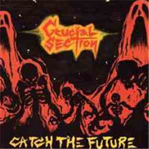 Crucial Section - Catch The Future mp3 album