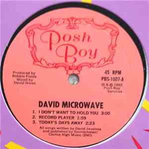 David Microwave - David Microwave mp3 album