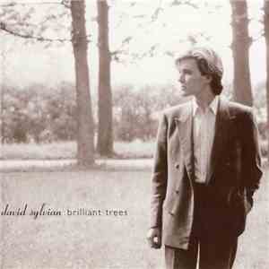 David Sylvian - Brilliant Trees mp3 album