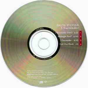 David Sylvian - I Surrender mp3 album