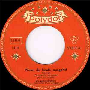 Die James Brothers - Wenn Du Heute Ausgehst mp3 album