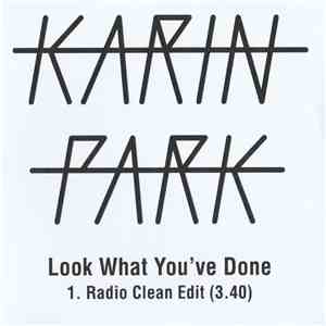 Karin Park - Look What You've Done mp3 album