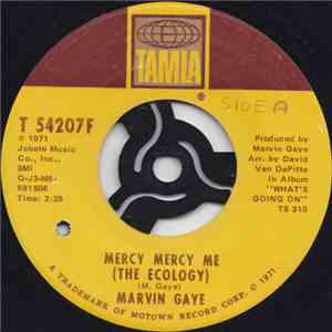 Marvin Gaye - Mercy Mercy Me (The Ecology) mp3 album