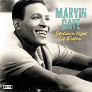 Marvin Gaye - Stubborn Kind Of Fellow mp3 album