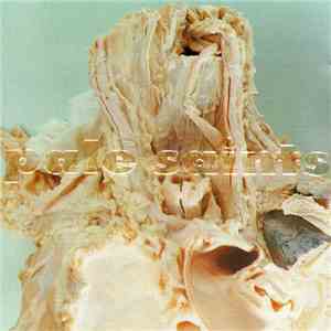 Pale Saints - In Ribbons mp3 album