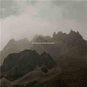 Parallel Worlds - Tonal Paintings mp3 album