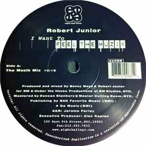 Robert Junior - I Want To Feel The Muzik mp3 album