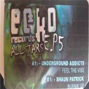 Shaun Patrick 'N' R.G.Z & Underground Addicts - Burning Up / Feel The Vibe mp3 album