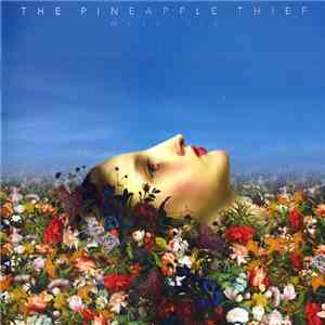 The Pineapple Thief - Magnolia mp3 album