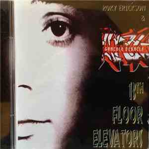 Thirteenth Floor Elevators - Grackle Debacle mp3 album