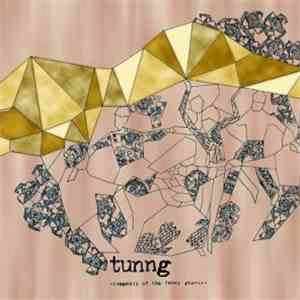Tunng - Comments Of The Inner Chorus mp3 album