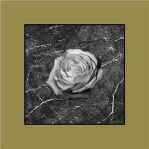 Twins - Nothing Left mp3 album