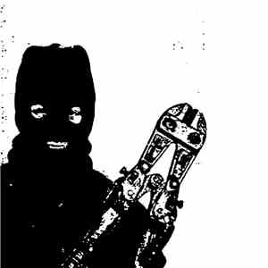 Various - Animal Liberation Noise Compilation mp3 album