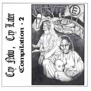 Various - Cry Now, Cry Later Compilation • 2 mp3 album