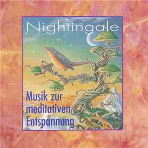 Various - Musik Zur Meditativen Entspannung mp3 album