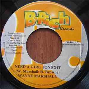 Wayne Marshall - Need A Girl Tonight mp3 album