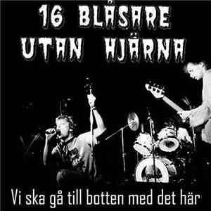 16 Blåsare Utan Hjärna - Vi Ska Gå Till Botten Med Det Här! mp3 album