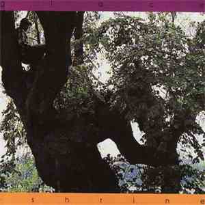 A Shrine - Glace mp3 album