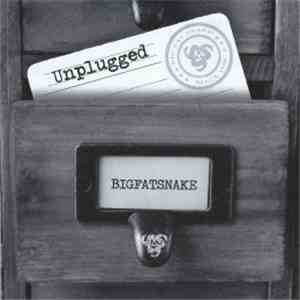 Big Fat Snake - Unplugged mp3 album