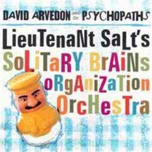 David Arvedon And The Psychopaths - Lieutenant Salt's Solitary Brains Organization Orchestra mp3 album