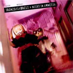 David Tronzo / Reeves Gabrels - Night In Amnesia mp3 album