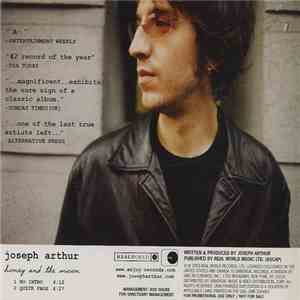 Joseph Arthur - Honey And The Moon mp3 album