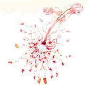 My Disco - Cancer mp3 album