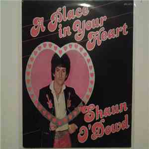 Shaun O'Dowd - A Place In Your Heart mp3 album