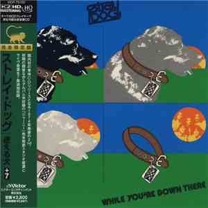 Stray Dog  - While You're Down There mp3 album