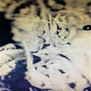Unknown Artist - Birth Of The New Man mp3 album