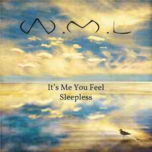 WML - It's Me You Feel mp3 album