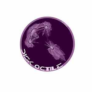 Au:cell - Disk Octile mp3 album