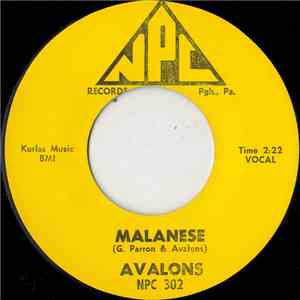 Avalons  - Malanese / Begin The Beguine mp3 album