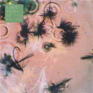 Bibio - Down To The Sound mp3 album