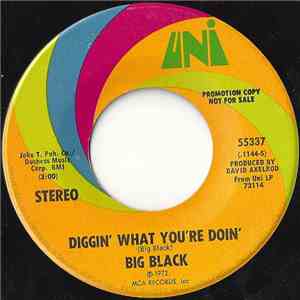 Big Black - Diggin' What You're Doin' / Mellow mp3 album