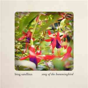 Bing Satellites - Song Of The Hummingbird mp3 album
