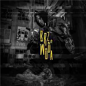 BRZ  - Woda mp3 album