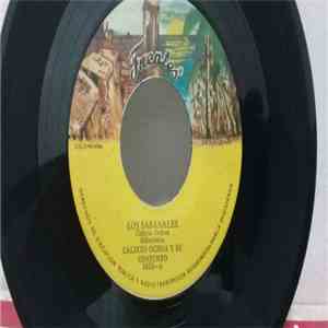 Calixto Ochoa Y Su Conjunto - Los Sabanales/ La Reina Del Espacio mp3 album