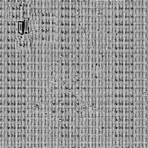 Ceremony Of Degradation - All Mom CEDE mp3 album