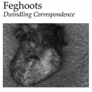 Feghoots - Dwindling Correspondence mp3 album