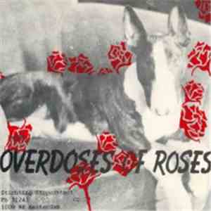 Gertie - Overdoses Of Roses mp3 album