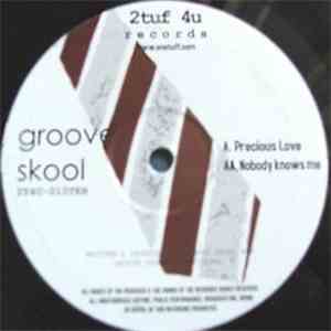 Groove Skool - Precious Love / Nobody Knows Me mp3 album
